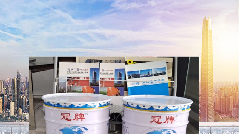 立邦墙面漆：揭秘涂料市场的价格之谜